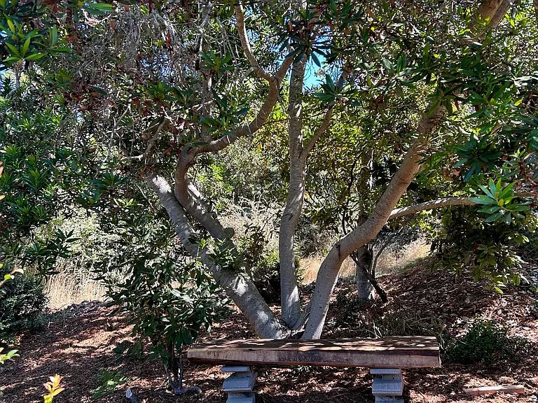 Studio Garden Bench
