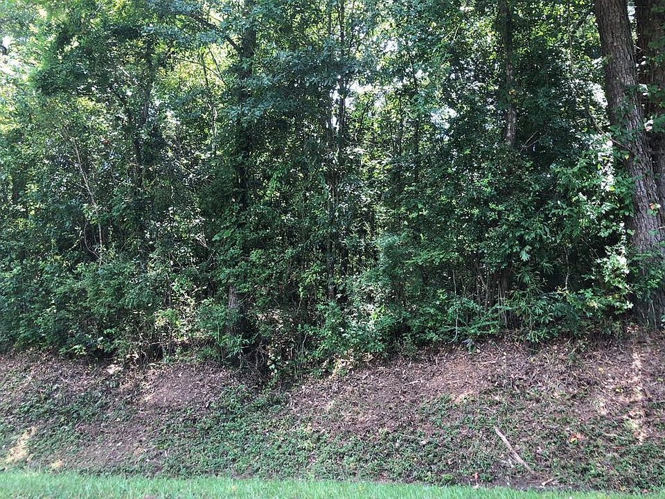 1st image of LOT 42