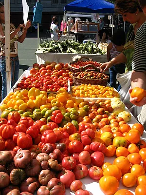 Rented by Giaps Realty Group LLC | media 24