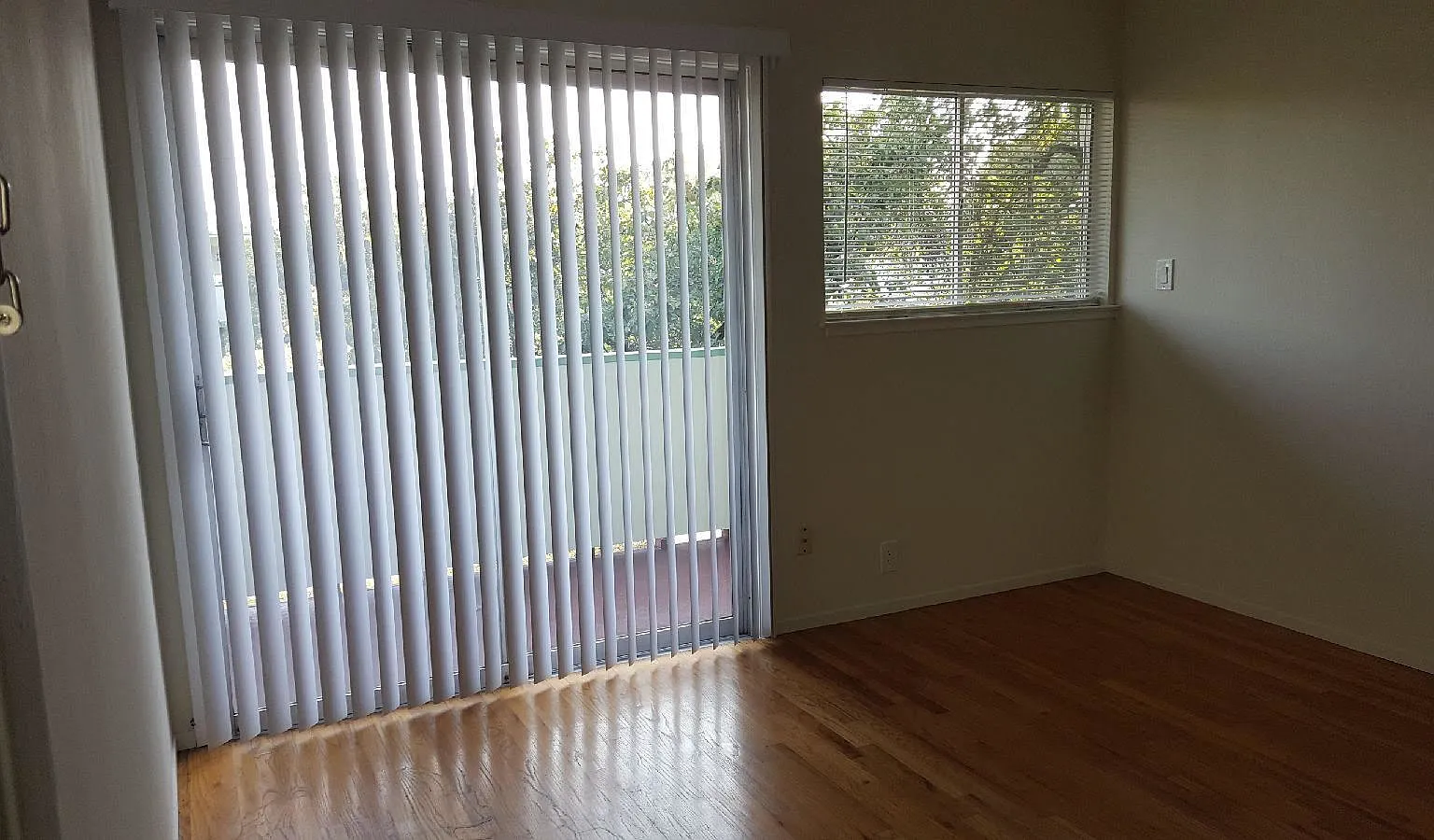 G3 + Sofia | (Grubiv) 525 South Norfolk Street — Photo 4