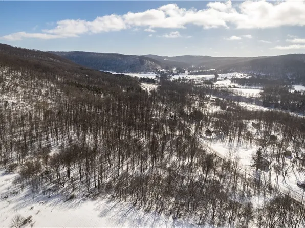 Kent Rd Lot 8, Little Valley, NY 14755