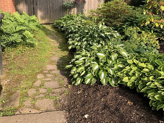 North side of house to back