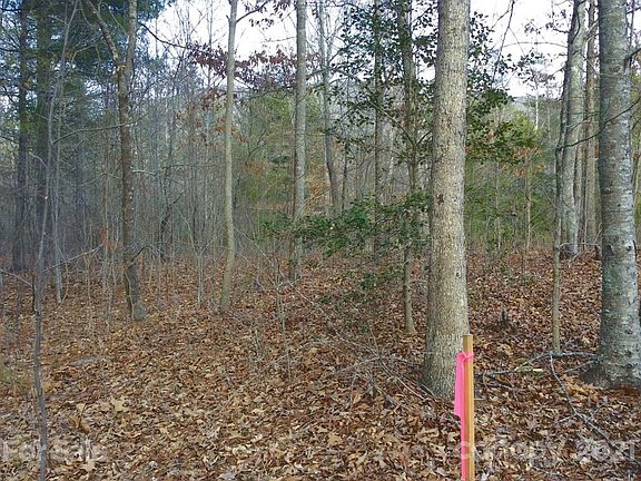 2nd image of 119 Nancy Ashworth Ln Lot 10