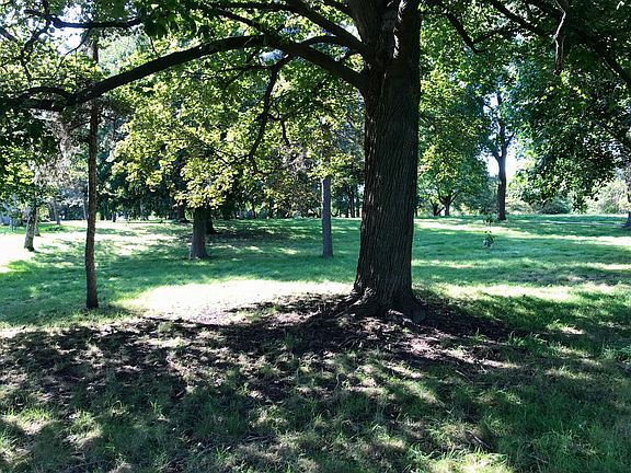 The back yard is quiet and spacious.