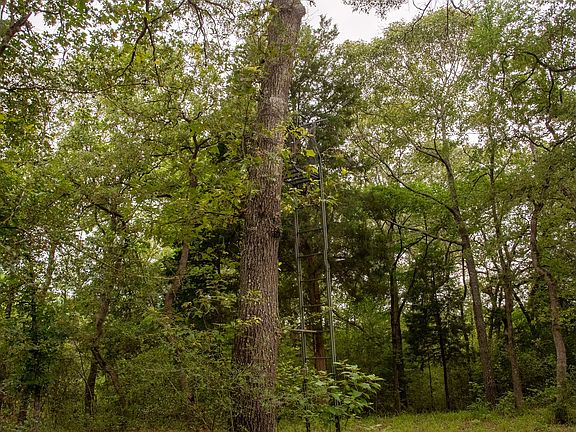 5th image of 5783 Private Road 3385