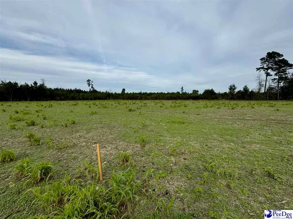 784 Barrentine Dr, Lake View, SC 29563