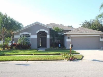 1335 Wyndham Lakes Dr, Odessa, FL, 33556