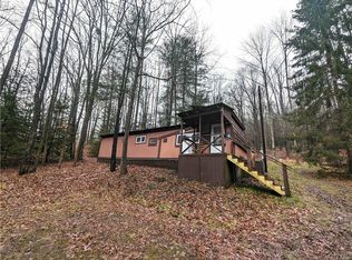 4809 Bush Hill Rd, Canisteo, NY 14823