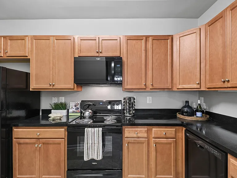 Chesapeake Ridge — Photo 7
