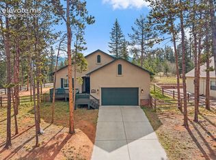 1101 Ptarmigan Dr, Woodland Park, CO 80863