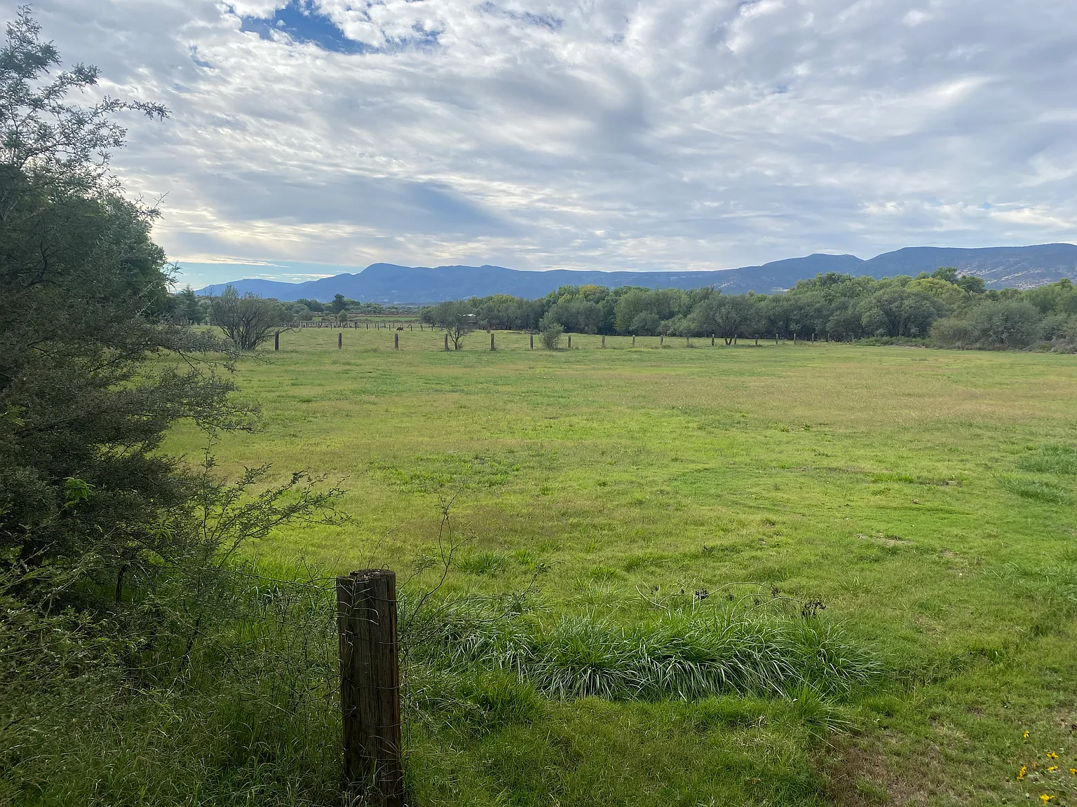 1 bed, 1076 sqft, $1,900 — Photo 4