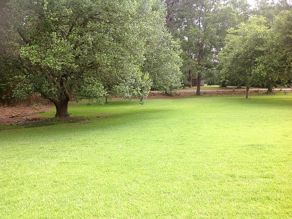 View from front porch