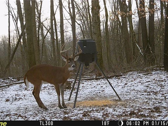 2nd image of 22681 Lexington Rd