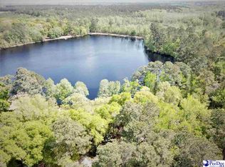 837 Lake Red Wing Dr, Darlington, SC 29532