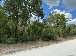 10350 Day Owl Ave, Weeki Wachee, FL 34613