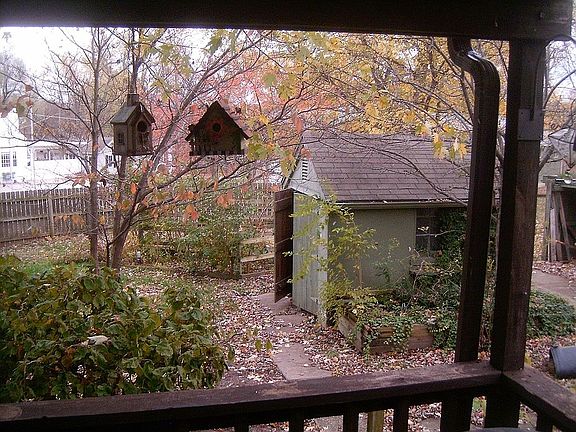 View from Deck