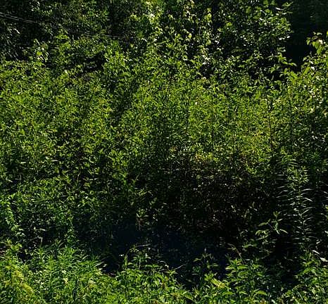 4th image of 0 Howe Rd