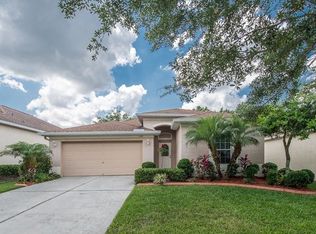 1153 Emerald Hill Way, Valrico, FL 33594