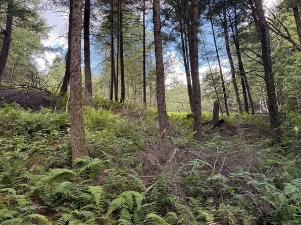 30 Bentley Lane, Jericho, VT 05465