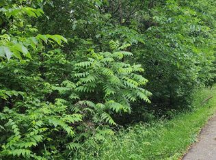 Waco St NW, Elk River, MN 55330