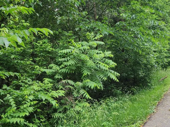 Waco St NW, Elk River, MN 55330