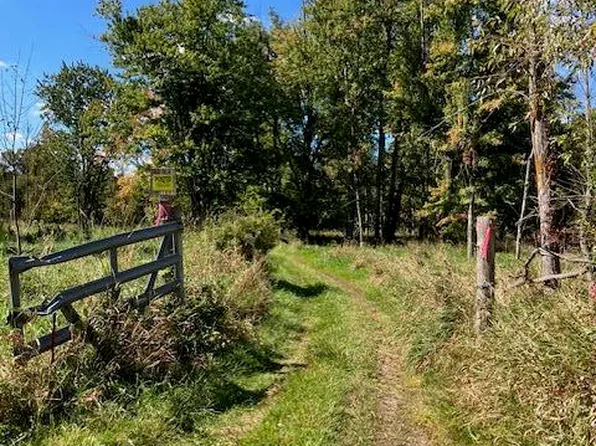 N Sheridan Rd E, Sheridan, MI 48884