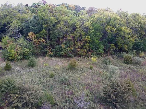 49 Sugarcreek Trl, Galena, IL 61036