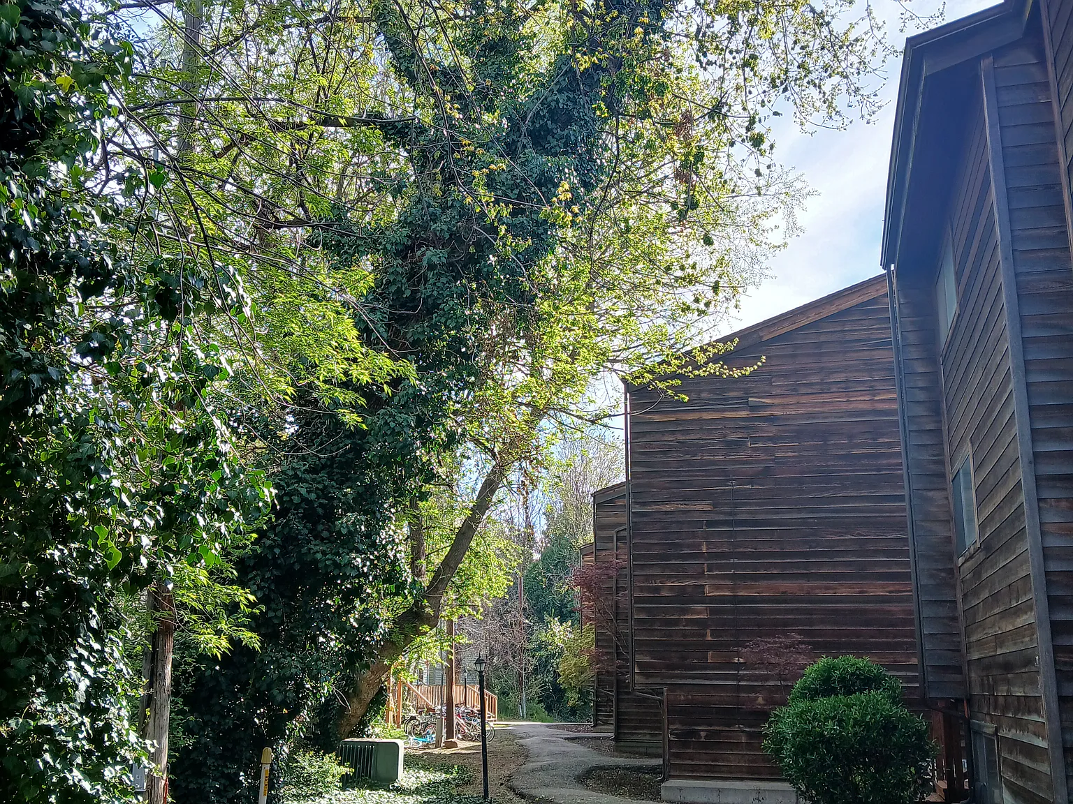 Parklane Apartments — Photo 2