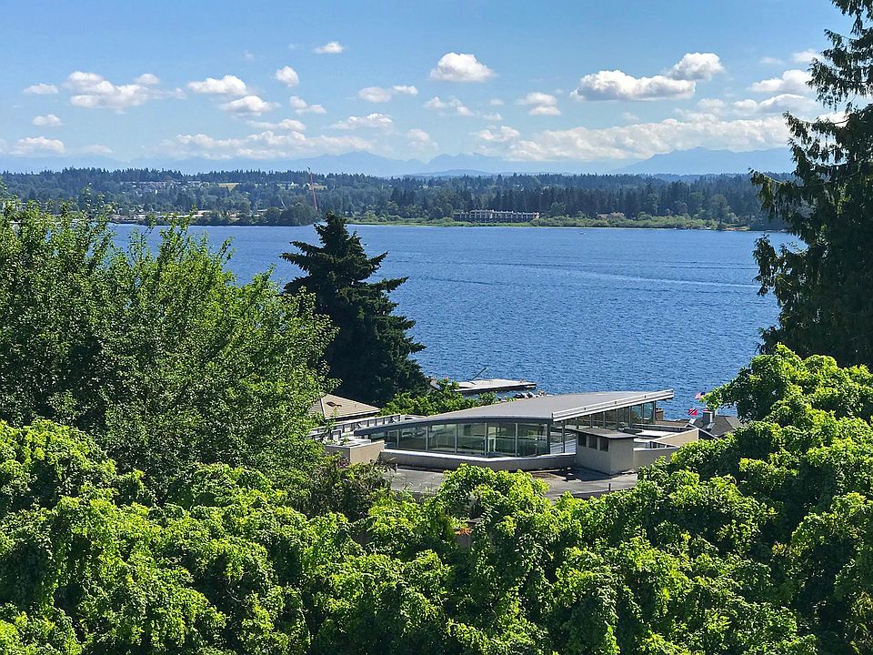 View from Deck of Lake Washington