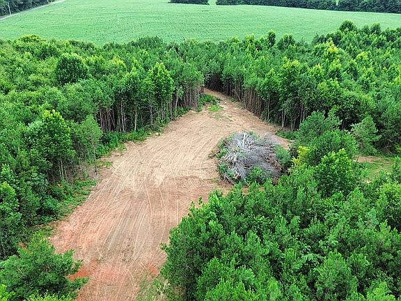 4th image of 151 Royster Rd