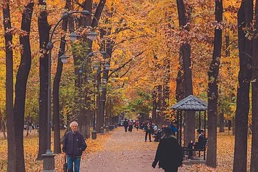 Sold by Undivided Inc