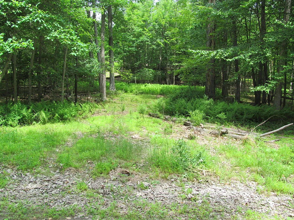 Spring Run Dr photo 1