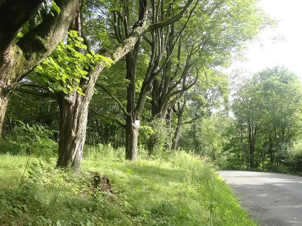 Henry Road, Cragsmoor, NY 12420