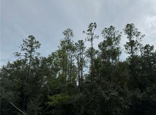 608 E Kingsdale St, Citrus Springs, FL 34434