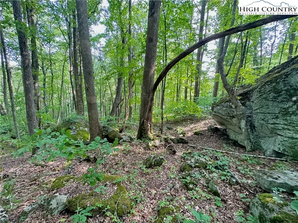 TBD Boulder Gardens Road, Banner Elk, NC 28604