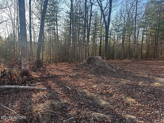 5th image of 239 Sewell Dr Lot 42-43