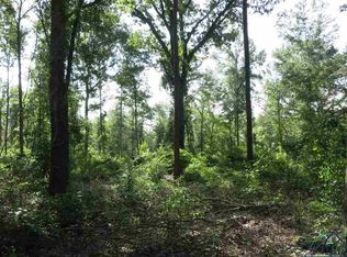 LOT 10 Cal Young Rd, Hallsville, TX 75650