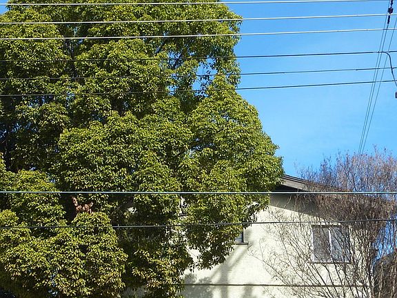 2nd image of 6159 Piedmont Ave