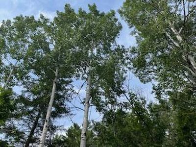 LOT 3 Idlewild Rd, Sturgeon Bay, WI, 54235