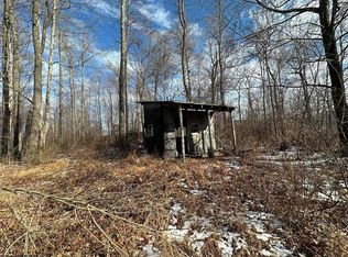 Salt Lick Creek Rd, Terra Alta, WV 26764