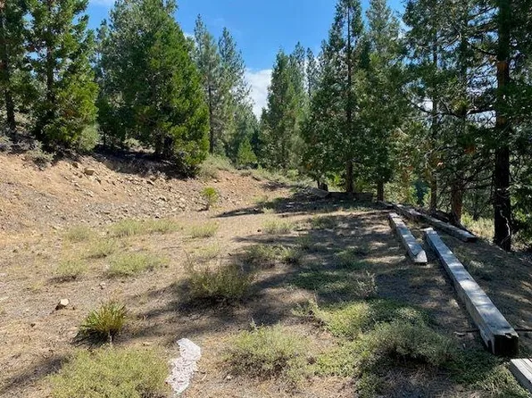 7865 E Bitterbrush Rd, Portola, CA 96122
