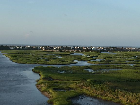 Marsh view from bidge