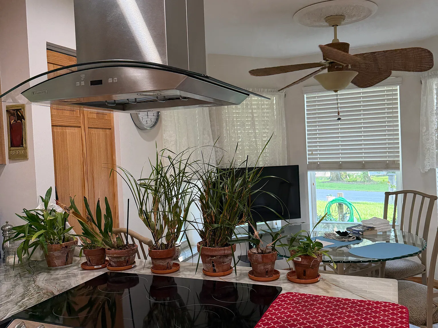2 bed, 1554 sqft, $1,800 — Photo 3