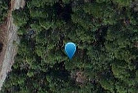 1st image of Tbd Wainee Dr #299