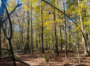 2536 Stream View Dr, Conyers, GA 30013