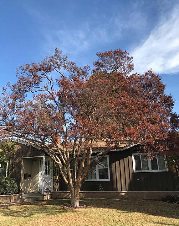 1st image of 5346 Loma Ave
