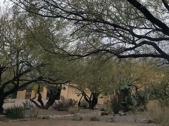 4th image of 7301 E Wikieup Cir