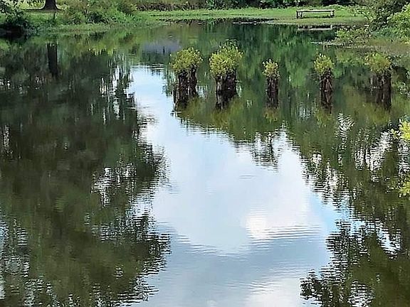3rd image of 675 County Road 1035