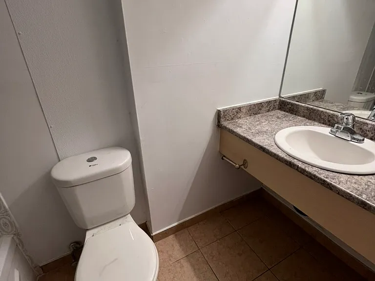263 Maclaren St #207 — Photo 5