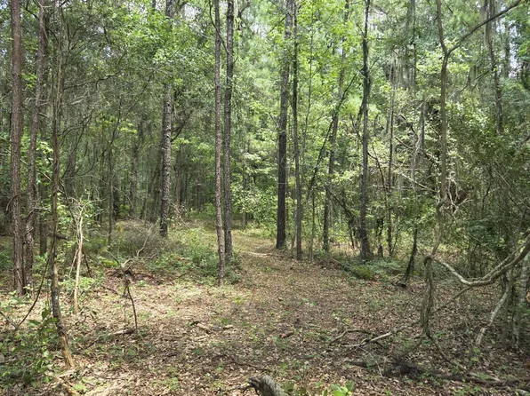 Young Man Rd NE, Townsend, GA 31331